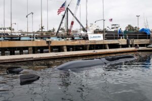 The first Orca XLUUV Test Asset System is christened and enters the water during a ceremony on April 28, 2022, in Huntington Beach, Calif. (Photo: U.S. Navy)